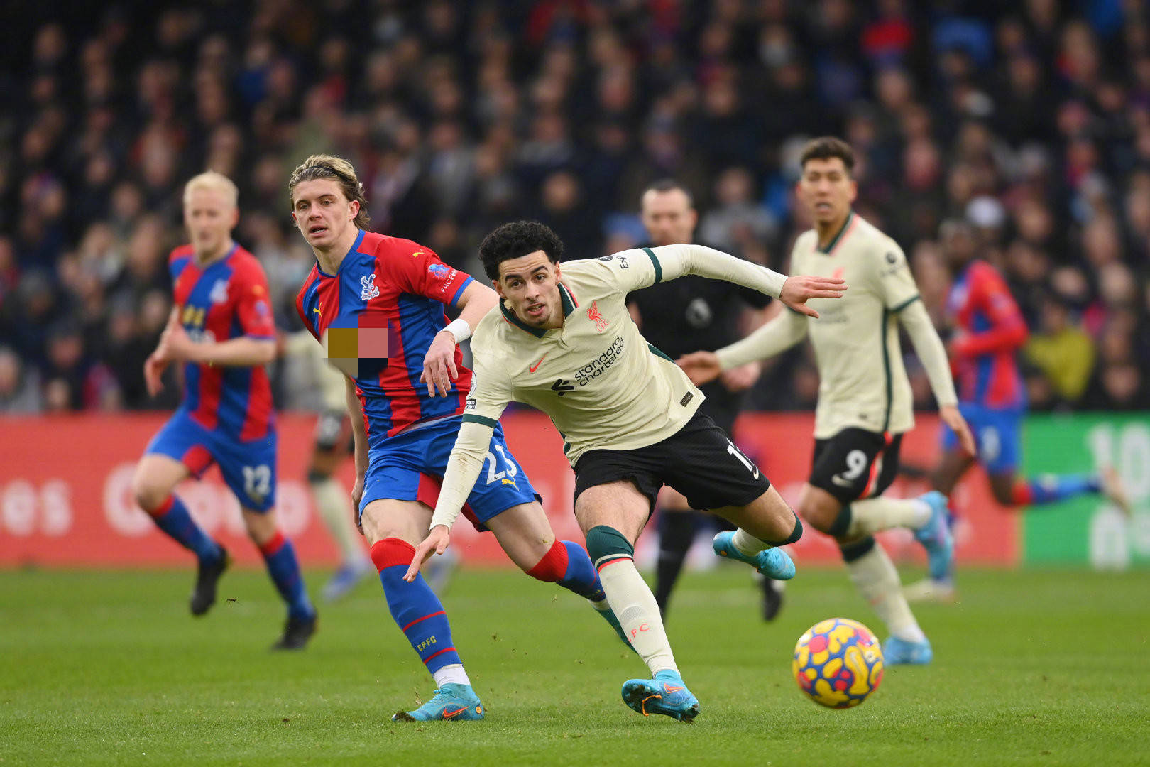 谷江大在内 谷江大在内