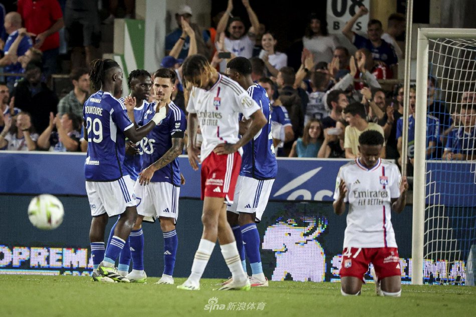 组成部分 组成部分