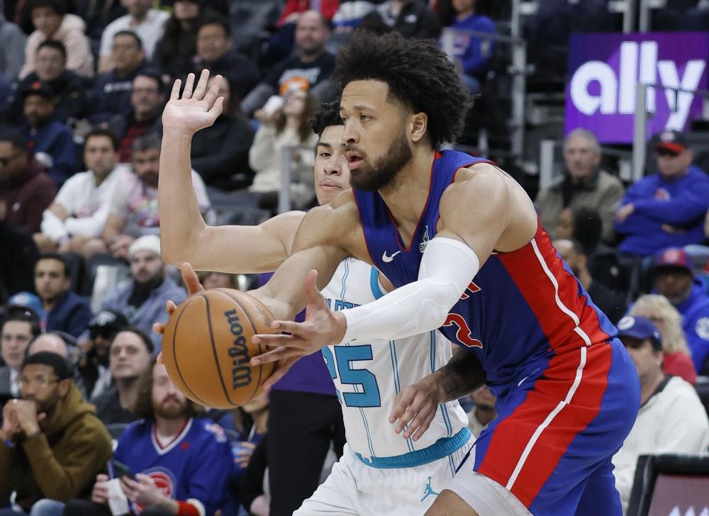 专业指导 专业指导